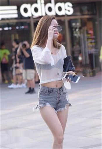 报告夫人全部章节免费