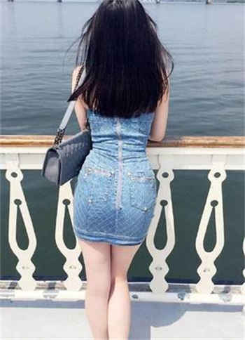 动物天鹅视频