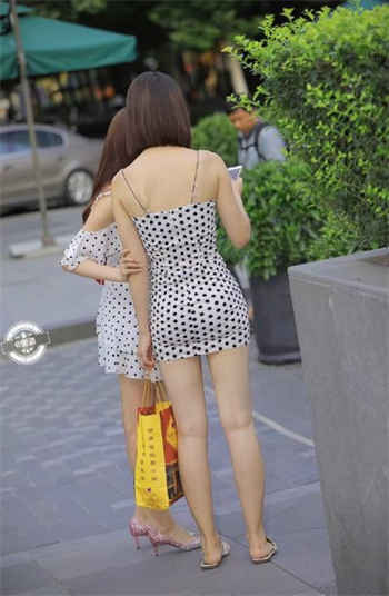 仙踪林视频欢迎您贰佰网