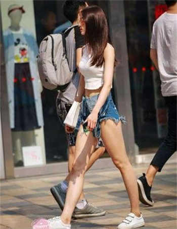 茶杯恶犬图集