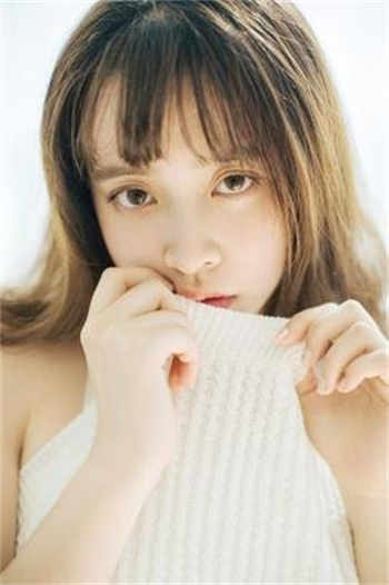 sw344图解